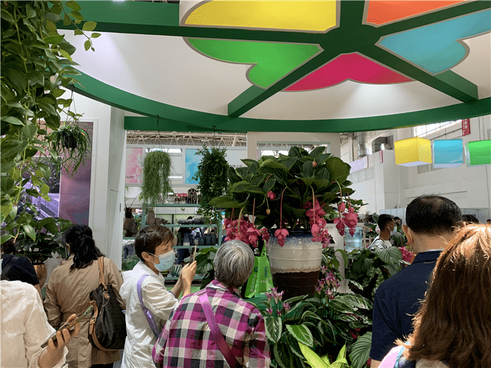 鮮花做土、藍(lán)莓做餃，火出圈的異形盛宴——北京國際花展亮點盤點